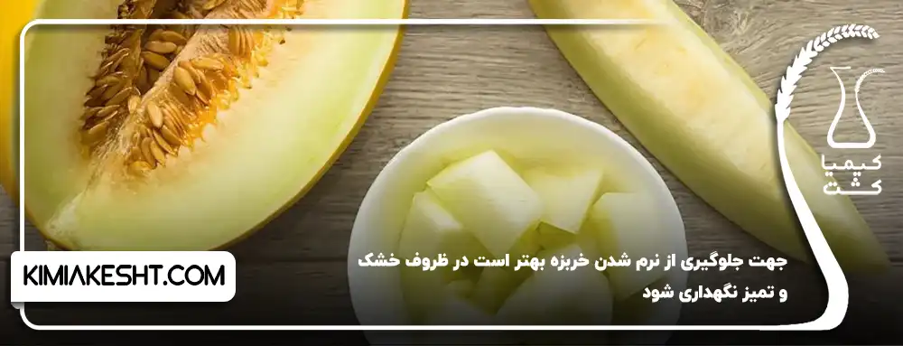 نگهداری خربزه در منزل