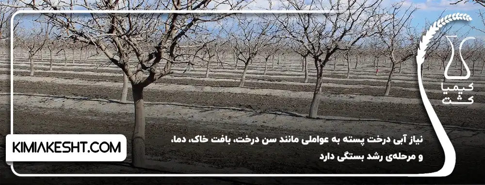 عوامل موثر در نیاز آبی درخت پسته