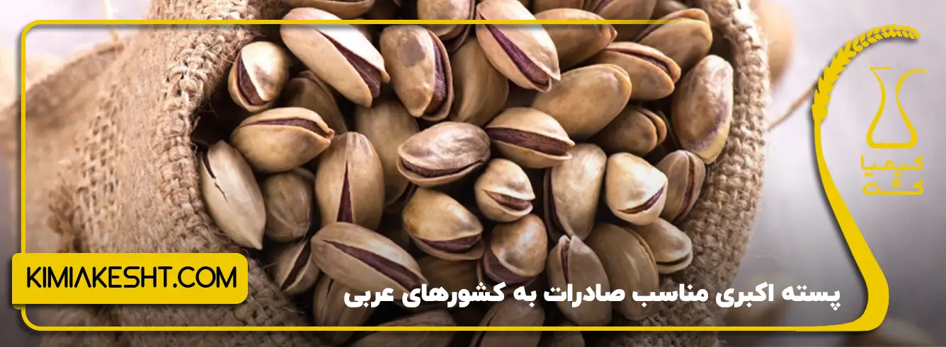 پسته اکبری مناسب صادرات