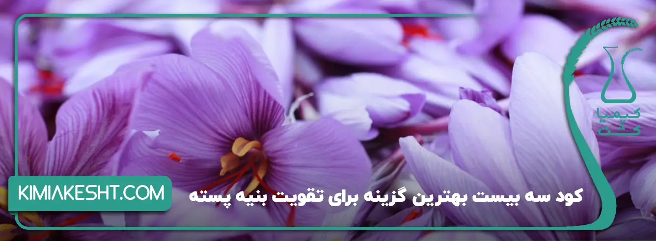 کود سه بیست بهترین گزینه برای بنیه پسته