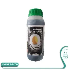 پاراکوات عربی