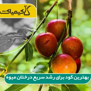 خرید بهترین کود برای رشد سریع درختان میوه