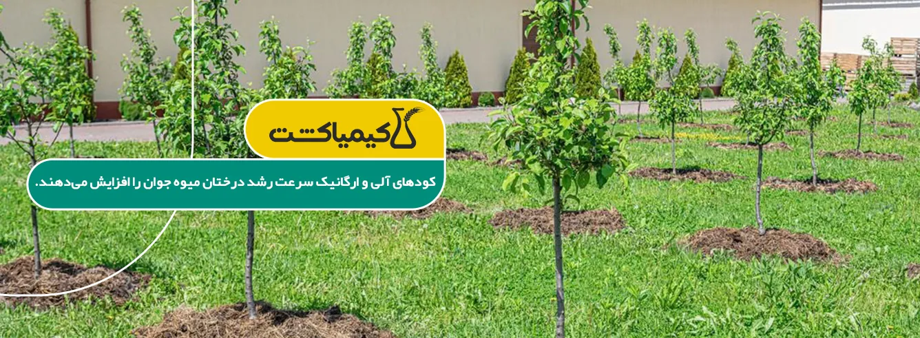 خرید بهترین کود برای رشد سریع درختان میوه