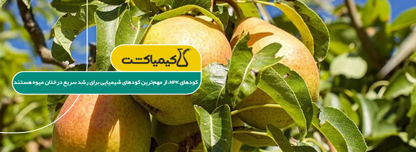 خرید بهترین کود برای رشد سریع درختان میوه