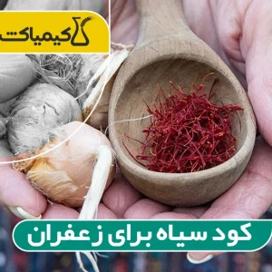 کود سیاه برای زعفران