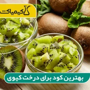 بهترین کود برای درخت کیوی