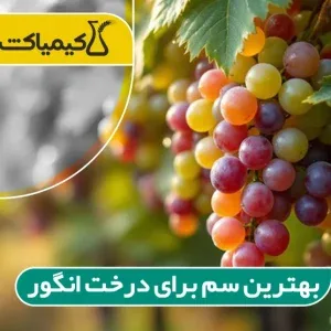 بهترین سم برای درخت انگور