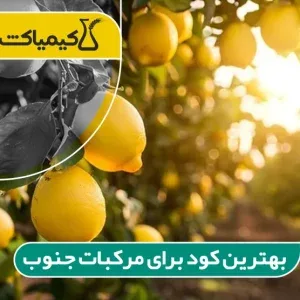 بهترین کود برای مرکبات جنوب