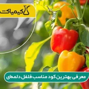 معرفی بهترین کود مناسب فلفل دلمه‌‌ای
