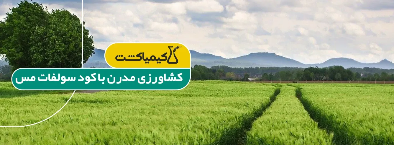 کود سولفات مس در کشاورزی